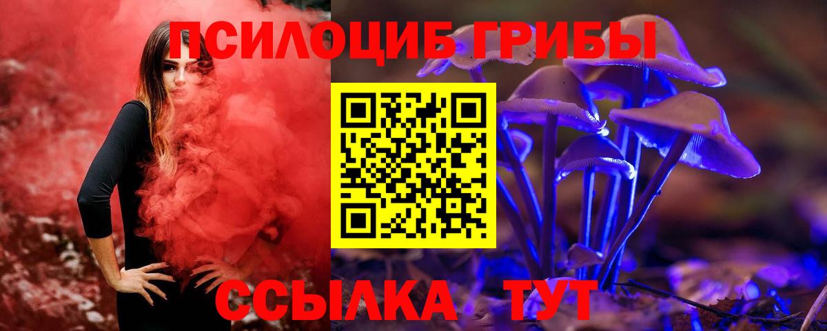 Галлюциногенные грибы прущие грибы  Вход с VPN  Кудымкар  Галлюциногенные грибы прущие грибы 